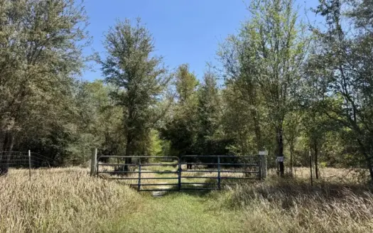 10 Unrestricted Acres with Utilities For Sale in North Florida!