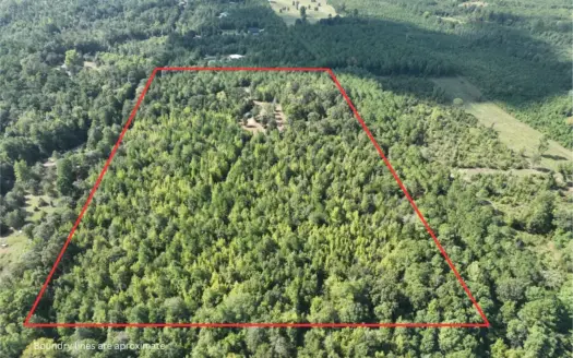 ±16.71 Acres in Linden TX | Land For Sale with Cabin & Power