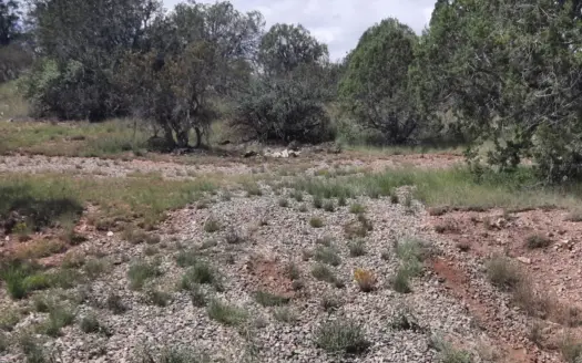Remote Northern AZ off grid mountain property
