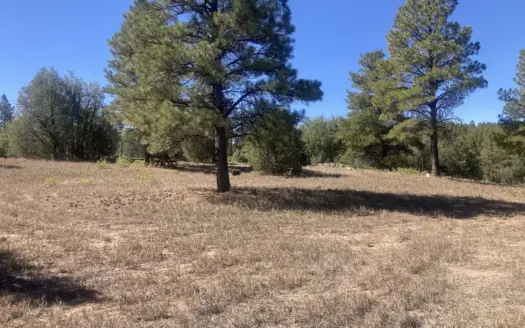 Great recreational use lot near Chama New Mexico