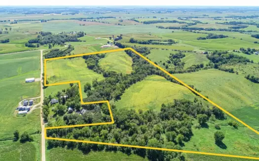 Recreational & Tillable Land for Sale at Auction