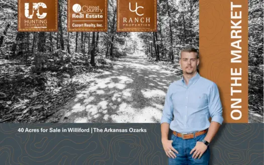 40 Acres for Sale in Williford | The Arkansas Ozarks