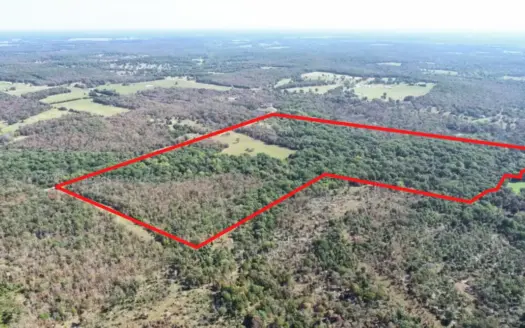 Diverse Recreational Property for Sale in St. Clair County, MO