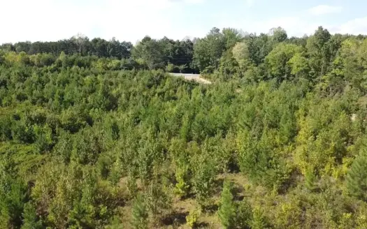 3 Acres of Country Living on Ashcake Creek Road in Scottsburg, VA