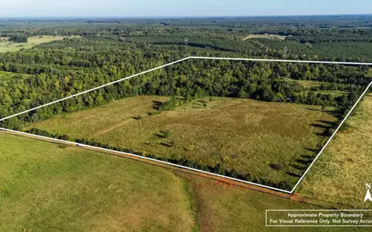 50± Acres of Privacy, Pasture & Possibility in Southern VA