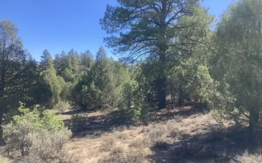 3.126 Acres of Recreational Use Land Near Chama New Mexico