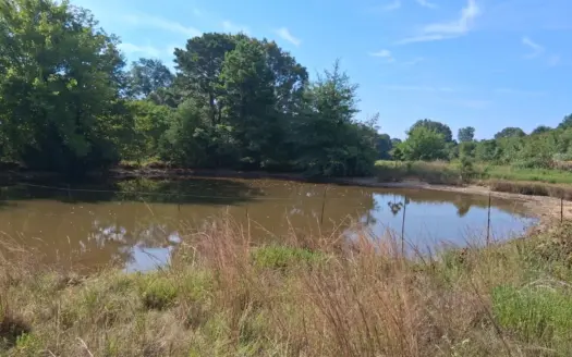 ±100 Acres Ranchland – Near Antlers & Hugo, Oklahoma