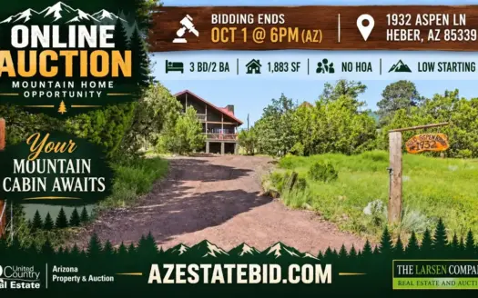 Heber AZ Furnished Cabin Estate Auction – 3 Bed, 2 Bath
