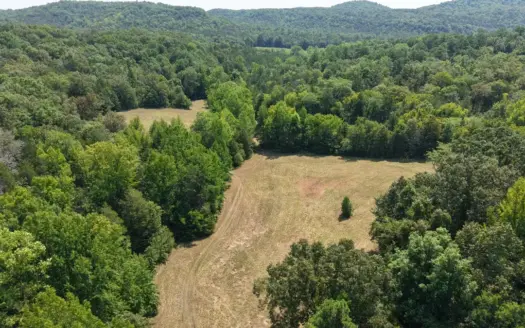 Hunting Land For Sale In North Central Arkansas