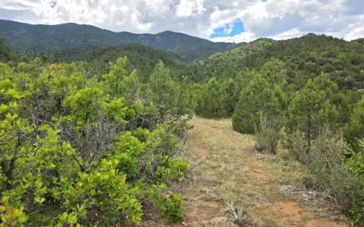 Mountain Hunting and Ranch Large Acreage in Florence, CO