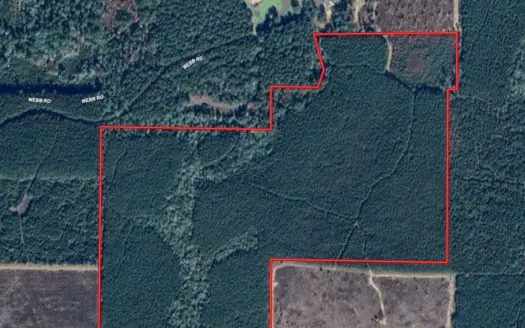 100± Acres of Timber & Hunting Land | Union Parish, LA