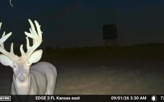 Coffey County Kansas CRP & Recreational 150