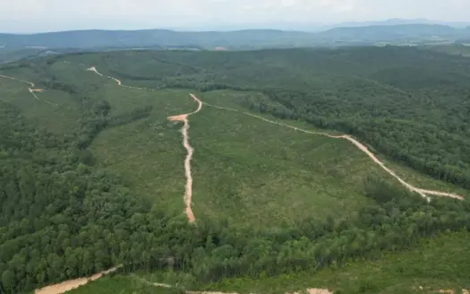 206+ Acres Bordering Tye River WMA in Nelson County, VA