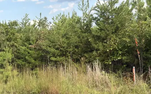 4 Acres of Country Living in Halifax County, VA