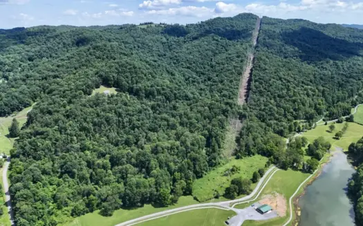 286 Wooded Acres in Tazewell County VA