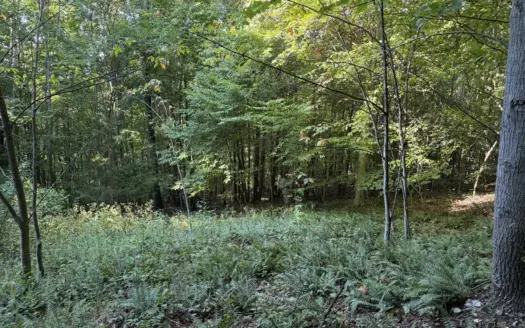 Secluded Recreational Property for Sale in Fort Blackmore VA