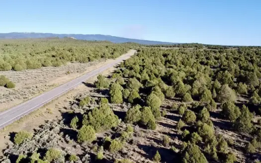 High Desert Wooded Acreage, Grazing Land, Hunting, Recreational