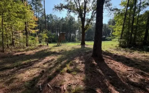 76 Acres of Hunting Land in Raleigh, MS, Smith County