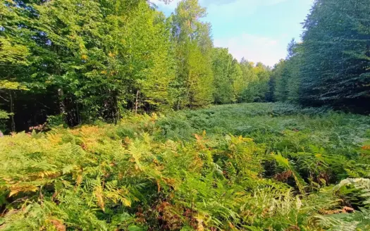 283± Hunting Acres For Sale in Northern Wisconsin!