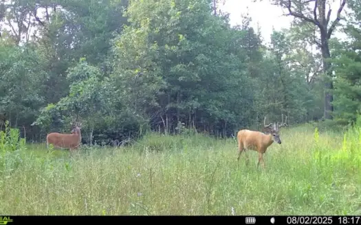 117± Acres of Irrigated Farmland and Trophy Whitetail Habitat
