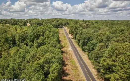 31 Acres for Sale Near Collins MS | Mature Timber & Hunting