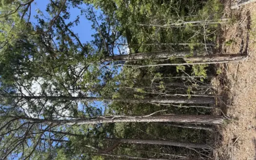 Acreage For Sale In North Central Arkansas