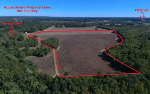 Farmland For Sale In Tennessee. Great Investment!