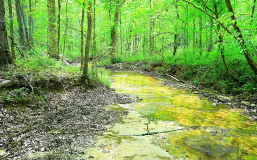 Hunting, Homesites, Woods, Creek, Roads, Privacy