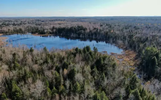 15± Acres of Off-Grid Timberland with Stream in Corinth, Maine