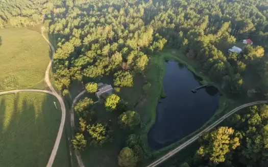 210+/- Acres and Cabin in Franklin County, MS