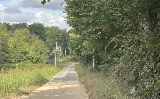 Wooded Lot Overlooking Rainbow Lake, Wayne County, Tn.