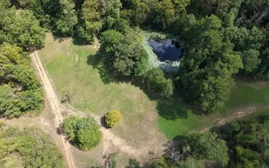 200± Acre Hunting Property in Jefferson County, MS