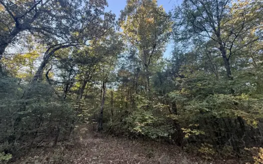 Affordable Hunting Land in Poughkeepsie AR 5.64 Acres