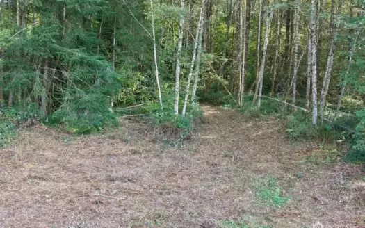 20 Private Acres Near Downtown Camas