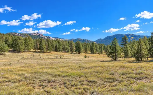 4.08 Acres for Sale in Florissant, CO with Utilities