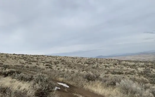 Residential & Hunting Potential