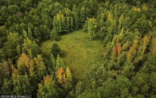 900 Acres for Sale – Hunter’s Paradise South Mississippi