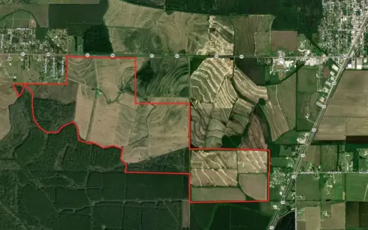 Rice and Crawfish Farm – Kinder, LA – Allen Parish