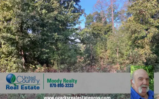 Multiple Lots For Sale In Hardy Arkansas