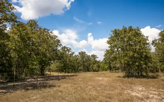 7.35 Partially Wooded Acres Near Lake Somerville in Ledbetter, TX