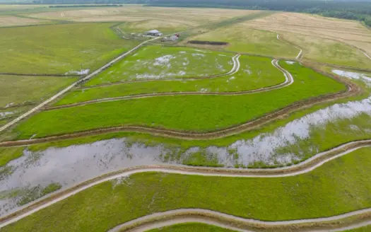 360 Acre Rice and Crawfish Farm – Kinder, LA