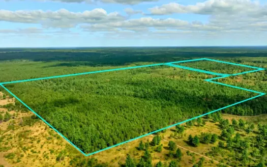 120± acres of heavily timbered hunting land in Eau Claire County