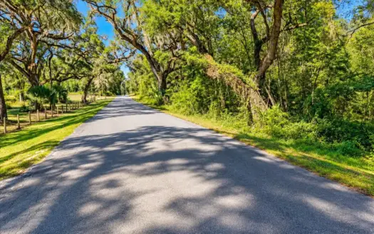 Escape to the Country! 5 Wooded Acres in North Central Florida