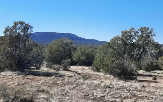 4 Acre Northern AZ off grid property adjoining state land.