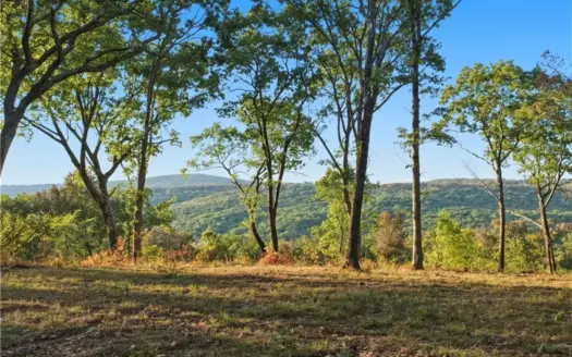 106 Acres Near Fayetteville For Sale Wildlife, Timber & Water