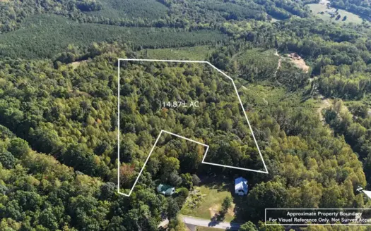 Blue Ridge Beauty | 14.876 Acres Near Rocky Mount