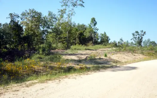 Vacant Land For Sale In Tn, 7.18 Acres+/-, Building Site