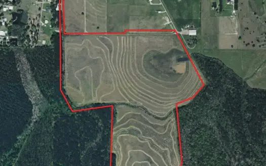 Rice and Crawfish Farm in Kinder Louisiana – Allen Parish