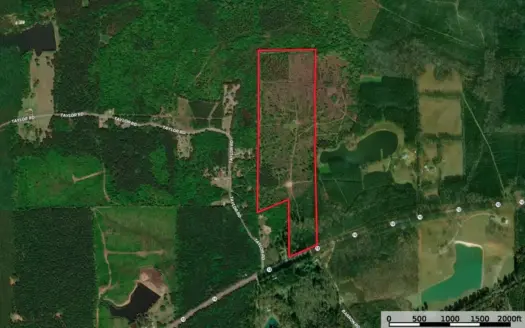 63 Acres Land For Sale Near Starkville MS