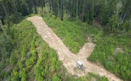 43± Acre Hunting Property in Amite County, MS